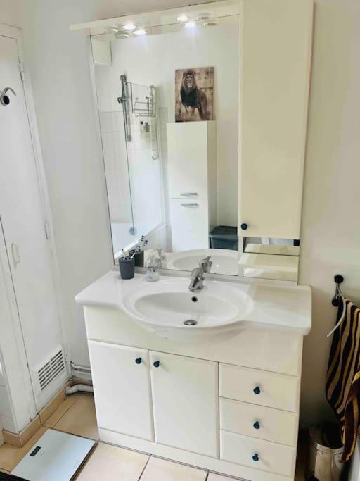 Feline's - T2 Moderne 51 M2, Proche Centre Apartment